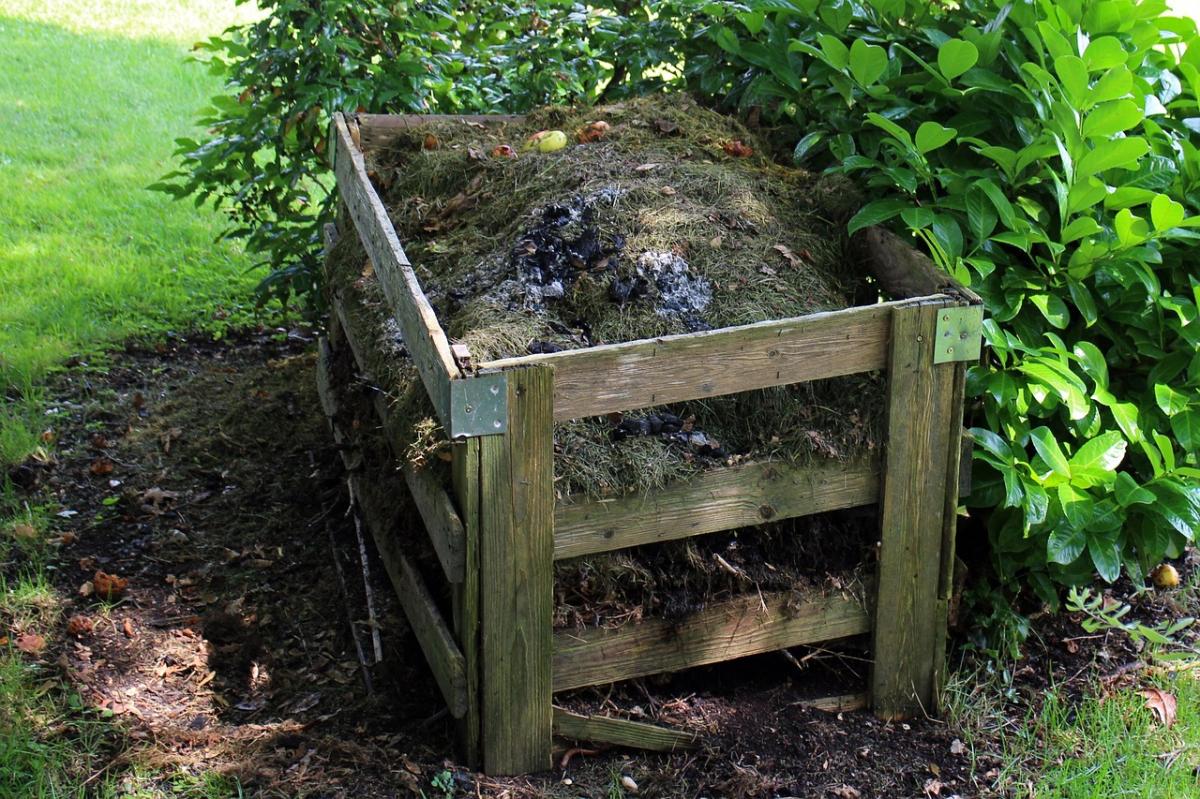 Pourquoi composter chez soi ? Solutions simples pour agir vert