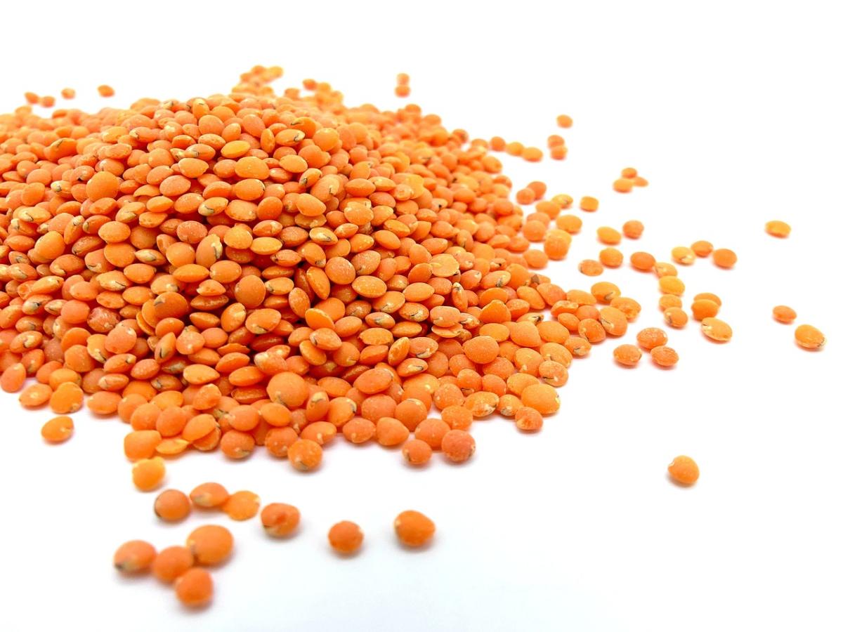 Dahl de lentilles vertes aux épices douces : un plat réconfortant